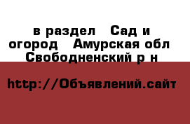  в раздел : Сад и огород . Амурская обл.,Свободненский р-н